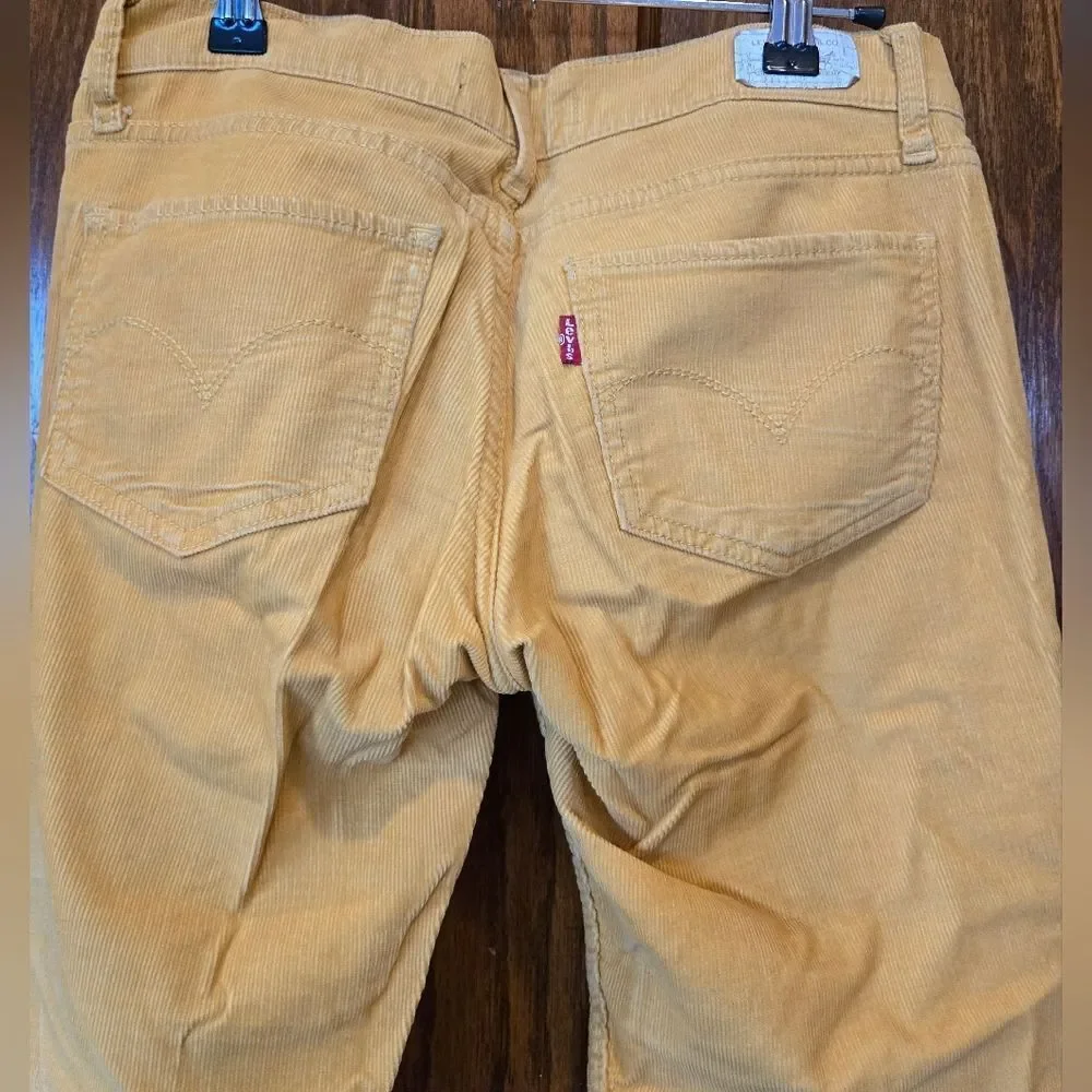 American Eagle Outfitters Yellow Gold Corduroy Straight Leg Jeans Size 27